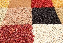Getting started with dry beans