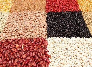 Getting started with dry beans