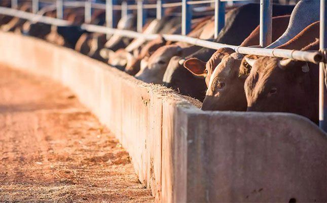 Karan Beef confirms foot-and-mouth disease at three feedlots