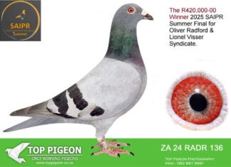 South Africa Invitational Pigeon Race 2025 summer final winners