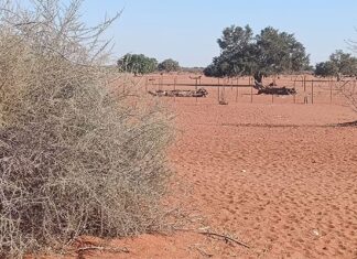 Botswana among countries most at risk of extreme drought – report