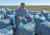 Growing and processing groundnuts can be lucrative