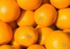 SA citrus industry faces major setback with US tariff