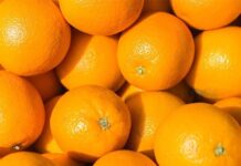 SA citrus industry faces major setback with US tariff