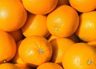 SA citrus industry faces major setback with US tariff