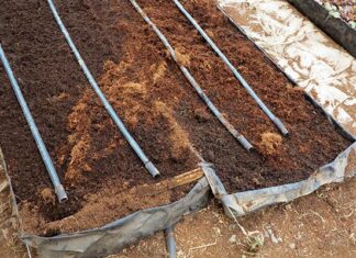 Conserve water and reduce costs with DIY irrigation