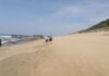 A walk back in time to the whaling days of The Bluff