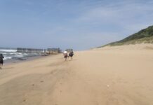 A walk back in time to the whaling days of The Bluff