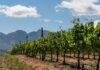 Netafim marks 60 years of precision irrigation and innovation globally