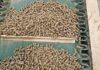 What makes good feed … good?