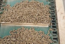What makes good feed … good?