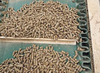 What makes good feed … good?