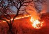 Mpumalanga bracing for a severe fire season