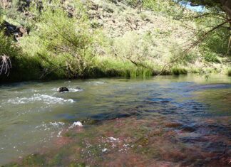 Tapping into the Saalboomspruit’s ‘golden bounty’