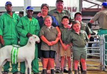 Top genetics and passion drive success at goat stud