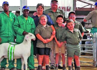 Top genetics and passion drive success at goat stud