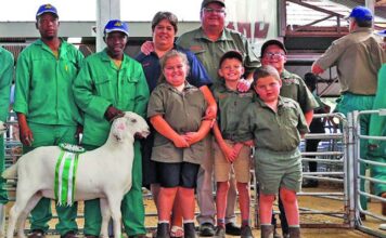 Top genetics and passion drive success at goat stud