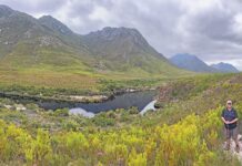 Eco-paradise: exploring South Africa’s hidden botanical gem
