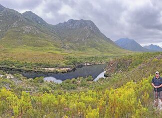 Eco-paradise: exploring South Africa’s hidden botanical gem
