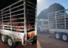 Stock theft remains a major challenge for farmers across SA