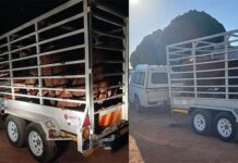 Stock theft remains a major challenge for farmers across SA