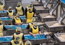 Worldwide macadamia shortage softens tariff blow