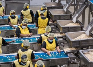 Worldwide macadamia shortage softens tariff blow