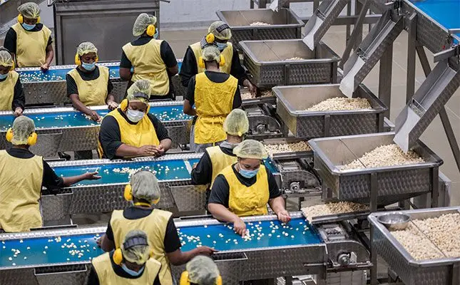 Worldwide macadamia shortage softens tariff blow