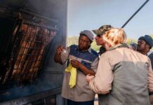 Consumer connection drives sheep farmer viability