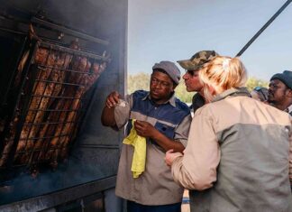 Consumer connection drives sheep farmer viability