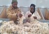 Emerging mohair producers gain key skills in Middelburg