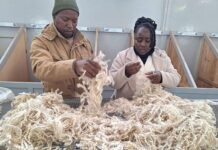 Emerging mohair producers gain key skills in Middelburg
