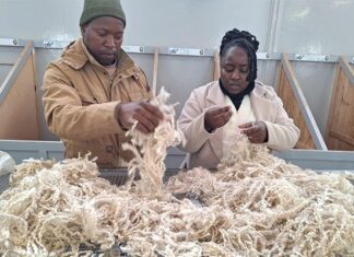 Emerging mohair producers gain key skills in Middelburg