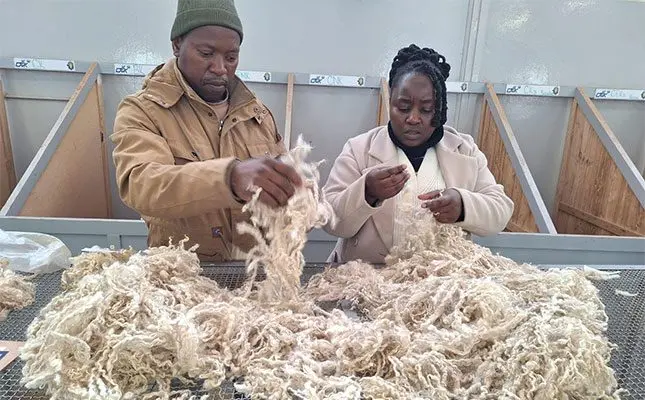 Emerging mohair producers gain key skills in Middelburg