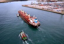 SA ports handle record number of containers