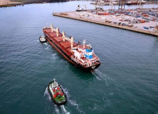 SA ports handle record number of containers