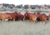 Working to the benefit of farmers