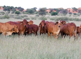 Working to the benefit of farmers