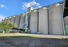 Senwes reports robust 2025 results despite challenges