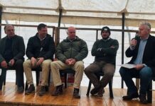 SA livestock sector pushes for stronger traceability systems