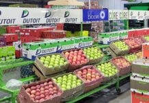 Pome fruit outlook optimistic as global demand grows