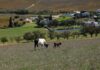 Achieving sustainability through self-reliance and organic farming