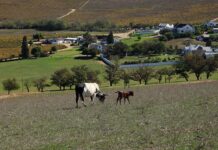 Achieving sustainability through self-reliance and organic farming