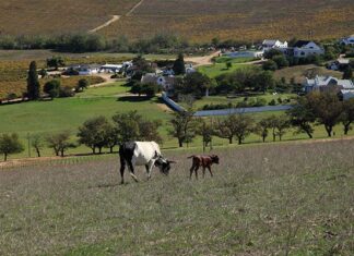 Achieving sustainability through self-reliance and organic farming