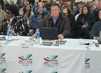 ‘SA must act fast to shield red meat industry from FMD’ – Steenhuisen