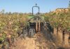 The role of cover crops in regenerative farming