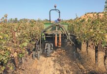 The role of cover crops in regenerative farming