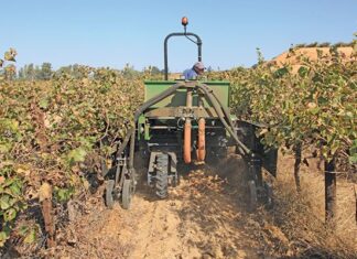 The role of cover crops in regenerative farming
