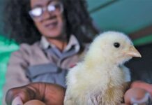 From backyard to business: Patricia Beleng’s journey to success