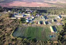 Fort Cox: SA’s first agricultural college to offer forestry course